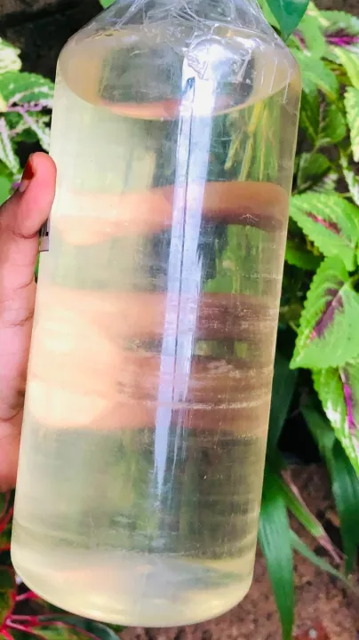 Natural%20Henna%20Powder%20and%20Oil%20Combo%20Set%20-%20Image%203