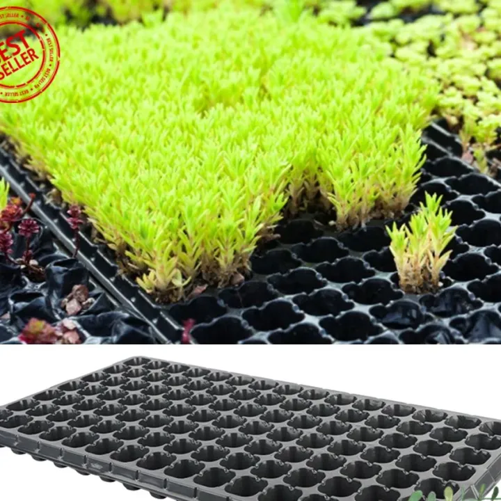 Seedling%20Tray%2050%20Holes%20Thick%20Plant%20Nursery%20Seed%202Pcs%20-%20Image%205