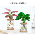 Pots for Pot Imitation Glass Vase Planting Small Potted Green Plant Flower Vases ZHIXING. 