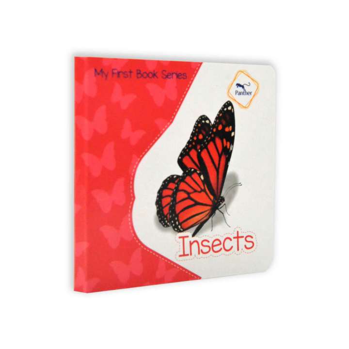 Board Books - Insects - My First Book Series