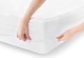 Mattress Protector Pad(Fitted sheet style)(48 x 75). 