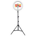 Led Ring Light 10″ With Tripod Stand, Tiktok Zoom Lights 10 Inch Selfie Ring Light, LED Ring Light with Tripod Mount and Phone Holder, Desktop Circle Light for YouTube Video, TikTok, Live Stream, Makeup. 