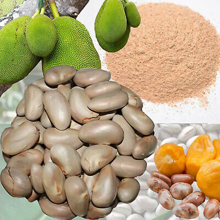 Jackfruit%20Seed%20Flour%20200g%20-%20Image%203