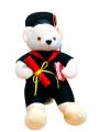 Graduation Teddy Bear. 