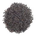 Kasakasa Black Seeds 100g ගස ගසා கசகசா. 