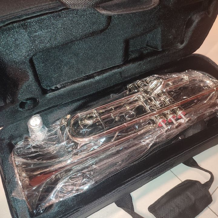 LARK%20Bb%20Trumpet%20with%20hard%20Case%20Professional%20Trumpet%20for%20Student,%20Brass%20Instruments%20Standard%20Trumpet%20Set,%20with%20Professional%20Trumpet%20Box,%20Cleaning%20Kit,%20Original%207C%20trumpet%20Mouthpiece%20(Silver)%20-%20Image%202