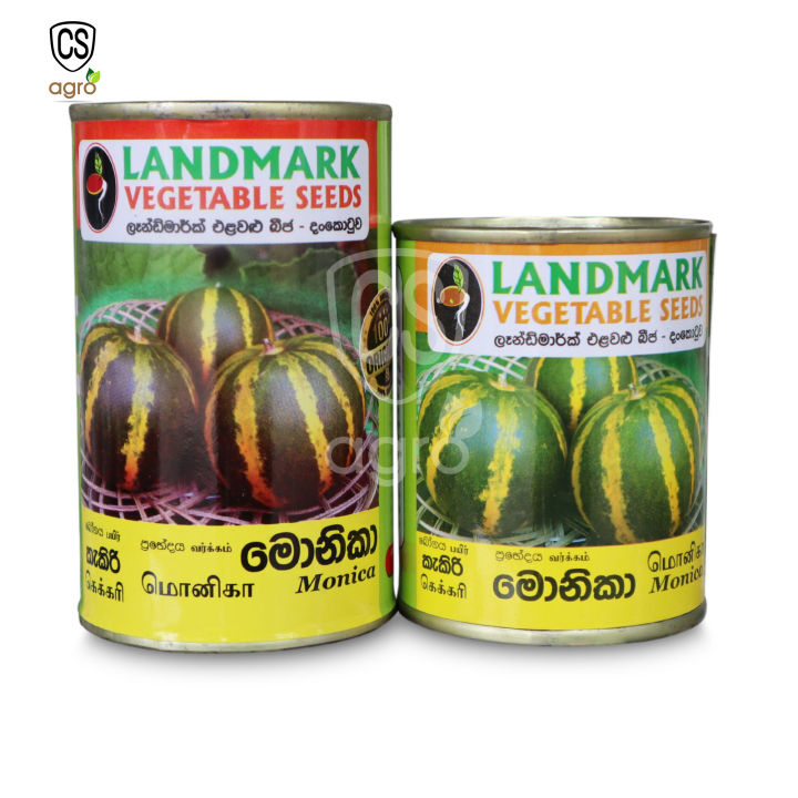 Cooking%20Melon%20Monika%20Seeds%20Kakiri%20Beeja%20Home%20Gardening%20Agriculture%2025g/50g%20-%20Image%203