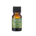 10ml Fragrance Oil Long Lasting Water Soluble Plant Extract Flower Natural Aromas Essential Oil for Diffuser. 