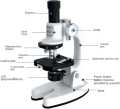 MICROSCOPE 0346|LED Lab Microscope Kit For Children Biology Microscope For Schoolboy Home School Science Educational Toy| |Infinity needs|. 