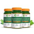 Pure Nutrition Ashwaginseng | Ashwagandha & Double Ginseng with L-Arginine & Tribulus | Enhances Stamina, Boosts Energy, Supports Brain Health & Aids Stress Management - 60 Veg Tablets (Pack 3)(FROM INDIA)NUSS. 