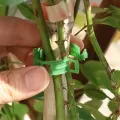【ZOSR】10/30/50Pcs Plastic Plant Support Clips Reusable Plant Vine Grafting Fixing Tool Vegetable Garden Supplies. 