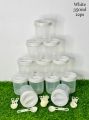 Kitchen Storage 350ML Bottles 12 pcs with Spoon / Clear Plastic Lids / Colurfull Kitchen. 