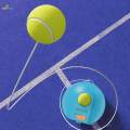 Tennis Ball Trainer, Tennis Baseboard Self Training Portable for Beginners Adult Players, Training Equipment, Professional Tennis Training Tool. 