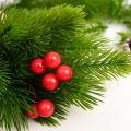 10pcs Artificial Pine Needle Plants Plastic Christmas Tree DIY Green Snow Pine Branches for Wedding Home Decor Flower Wreath Wholesale. 