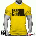 Men's GYM body-fit T-shirt. 