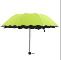 High Quality Blossom Magic Umbrella Gives Flowers Patterns with UV Sun Protection. 