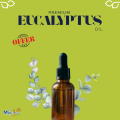 Indian Premium Eucalyptus Essential Oil (Available In 30ml to 1l Bottles). 