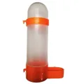 Dual purpose Bird Feeder Water and Container Food Dispenser Hanging in Birds Cage for Parrots Budgie Cockatiel (Random Colour). 