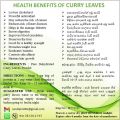 100% Organic Dehydrated Curry Leaves Tea (20 Tea bags)  Herbal Tea (Karapinchaa Tea). 