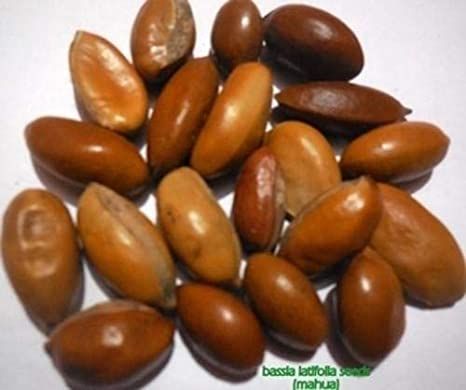 Mee Seeds ( මී ඇට ) 100g