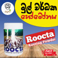 Roocta Rooting Powder Hormone Gardening Agriculture. 
