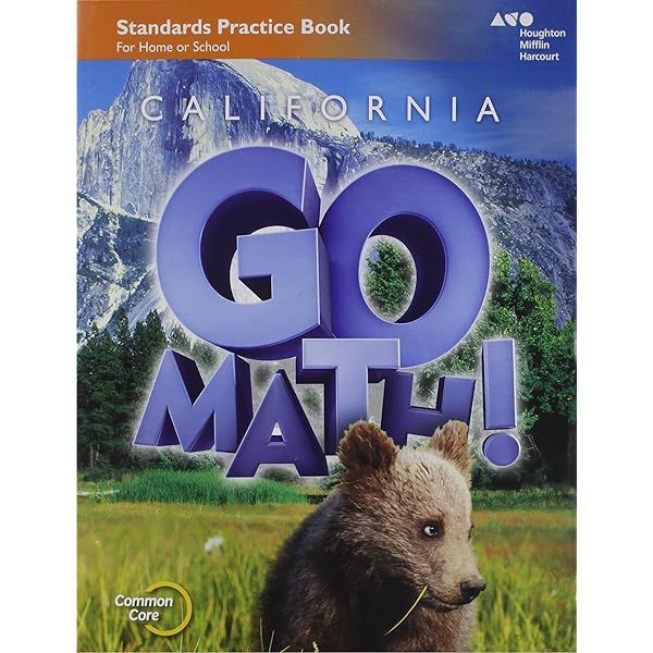 Practice Workbook Grade 2 (Houghton Mifflin Harcourt Go Math!) | Daraz.lk
