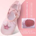 Pair of Gymnastics Crown Girls' Dancing Shoes Satin Soft Sole Cat Claw Shoes Lovely Embroidery Princess Shoes Children. 