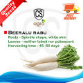 Radish Seeds Long Diga Rabu Beeralu Gardening Agriculture Home 1g Quality Seeds. 