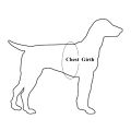 Small Adjustable Dog Harness and Outdoor Walking Nylon Dog Leash Lead Pets Dog Sale Durable Traction Training Rope Dog Belt Dog Chain Dog Body Belt Chest Belt Step-in Harness Strap Stainless Steel Metal Buckle Plastic Clasp Dog Collar Dog Strap Dogs Belt. 