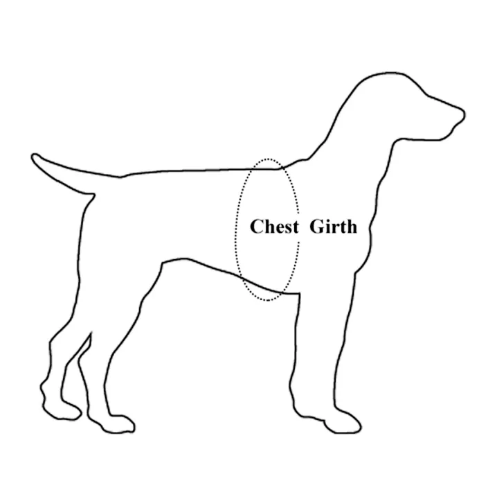 Small%20Adjustable%20Dog%20Harness%20and%20Outdoor%20Walking%20Nylon%20Dog%20Leash%20Lead%20Pets%20Dog%20Sale%20Durable%20Traction%20Training%20Rope%20Dog%20Belt%20Dog%20Chain%20Dog%20Body%20Belt%20Chest%20Belt%20Step-in%20Harness%20Strap%20Stainless%20Steel%20Metal%20Buckle%20Plastic%20Clasp%20Dog%20Collar%20Dog%20Strap%20Dogs%20Belt%20-%20Image%205