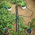 Micro Tube Drip Irrigation 3.2x5mm 10m/50m/100m. 