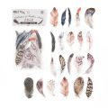 40 Pcs /pack Colored Feather Design Waterproof Decorative Stickers. 