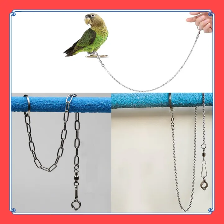 Bird Chain VibeVendor Parrot Leg Ring Anklet Foot Chain 45cm to 48cm bird anklet ...