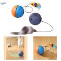 Cat Balls Toys for Indoor Cats Teaser Toys Interactive Play for Kitty Chasing. 