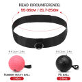 Boxing Reflex Ball Set 2 Level Punching Training Balls with Nylon Sport Headband. 