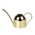 Stainless Steel Watering Can Bonsai Plants Handheld Water Pot with Long Spout Indoor Outdoor Watering Plants Flower Garden Tool. 