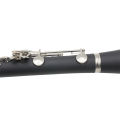 SLADE Bb Clarinet 17 Keys Bakelite Wooden Professional Woodwind Instrument Tenor Clarinet With Box. 