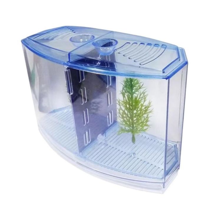 Practical Transparent Betta Fish Plastic Single/Double Grid Double-grid ...