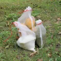 【ZOSR】Netting Bags Garden Fruit Barrier Cover Bag for Grape Fig Vegetable Protection. 