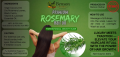 Benson Herbal Premium Rosemary Hair Oil – 100% Pure Botanical Extract for Advanced Hair Growth & Scalp Therapy | Made in Sri Lanka 30ML. 