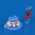 Egg Hatching for Hatching Eggs Hatcher Machine for Birds Pigeon Chicken Single Electric. 