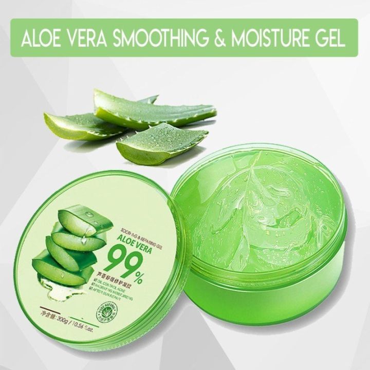 aloe vera stücke kaufen Aloe Vera Blätter kaufen main image 0