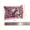 【Folio & Light】Dried Flower Purple Gomphrena Globosa Petals For Diy Epoxy Resin Molds Jewelry Handmade Soap Making Accessories 10g/bag. 