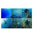 Scuba Gear Masks Goggles for Scuba Diving, Snorkeling, Freediving, Spearfishing and Swimming. 