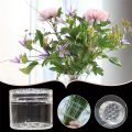 2 Piece Spiral Ikebana Stem Holder, Transparent Plastic Bloom Shaper for Flowers Spiral Stem Holder for Vase. 