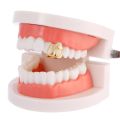 New Gold Color Hip Hop Tooth Grillz Hollow Heart Copper Dental Grillz Double Heart Shiny Zircon Teeth Caps Tooth Jewelry. 