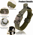 Military Dog Collar with Metal Buckle and Patches. 