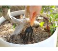 Gardening Tools kit Hand Cultivator, Small Trowel, Garden Fork (Set of 3). 