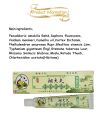 【No-profit】 10Pcs Zudaifu Skin Psoriasis Dermatitis Eczematoid Eczema Ointment Treatment Cream for Children Baby Natural Non Irritating. 