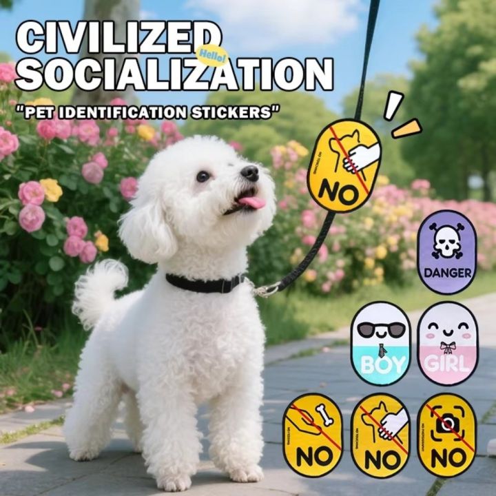 New Waterproof Pet Identity Decals Cartoon Decorative Tear Resistant ...